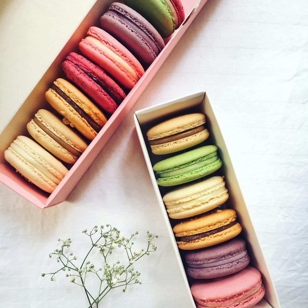 assorted flavored french macaroons in cardboard boxes