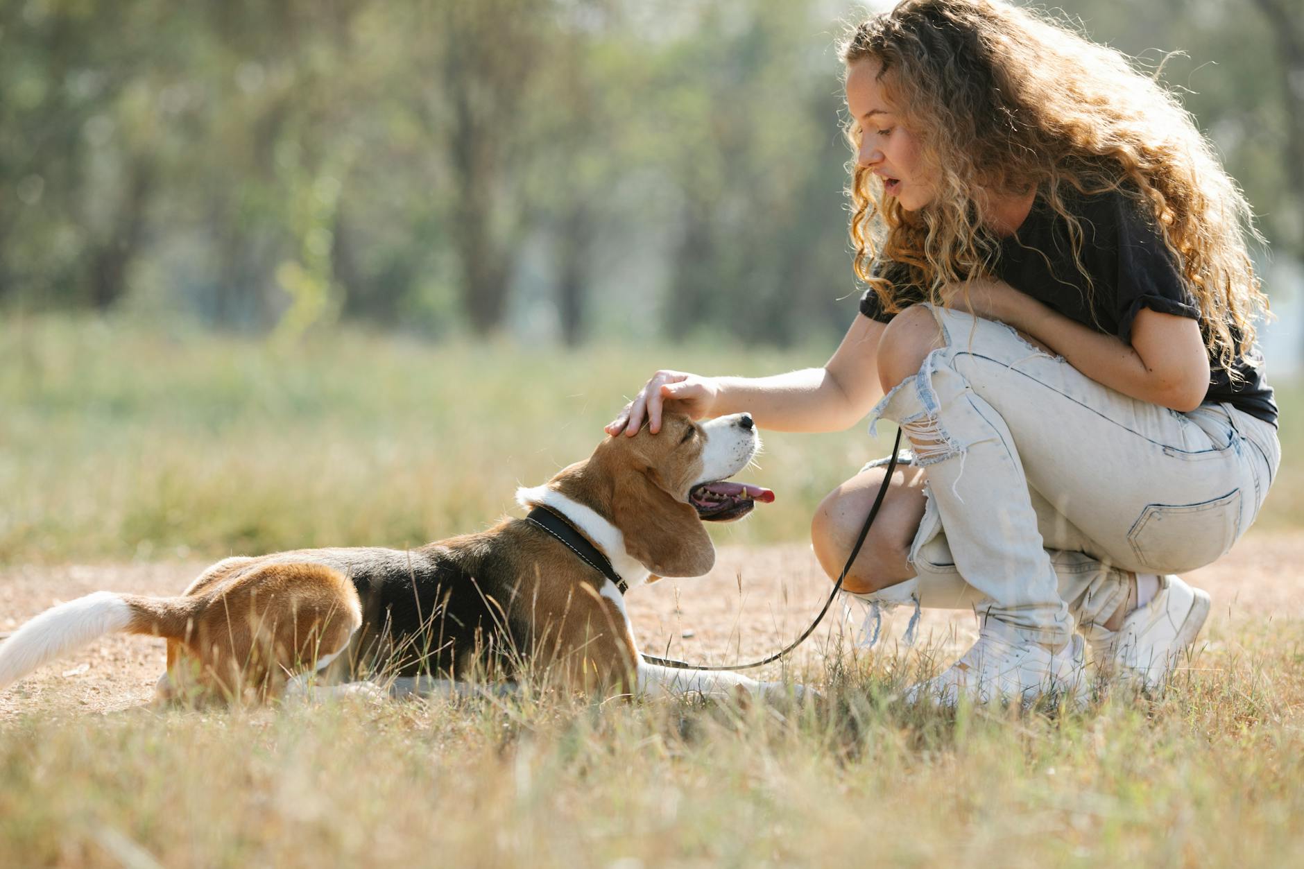woman with beagle dog in countryside